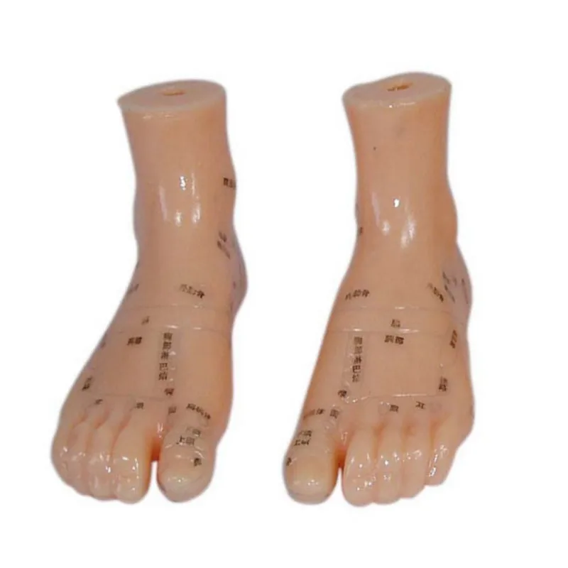 12CM Foot Massage Model Teaching Appliances Medical Aids Traditional Chinese Medicine Medical Science Student BIX-Y1022