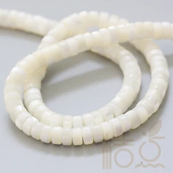 Natural Shell Beads and Charms (G57)