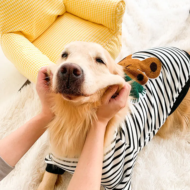 buy royal canin dog food Royal Canin Breed Health Nutrition Golden Retriever Puppy Dry Dog Food –  Lees' Feed & Western main image 0