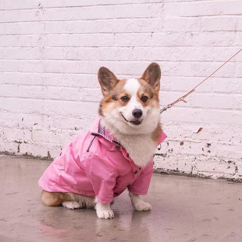 Abrigo impermeable de alta calidad para perros pequeños, medianos y grandes, chaqueta impermeable para perros, sudaderas deportivas para mascotas