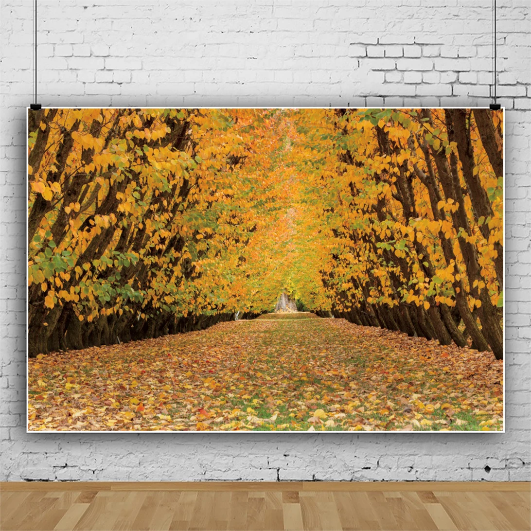 Laeacco foto telón de fondo bosque de otoño Hojas de arce amarillo camino Photozone fondo de fotografía de estudio fotográfico Photocall Prop