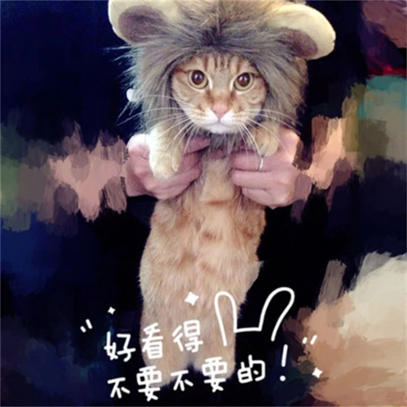 Cat Dog Lion Headwear Funny Soft Little Ears Helmet Cross Dress Hat Lion Wig Cool Cute Creative Hat Pet Headwear