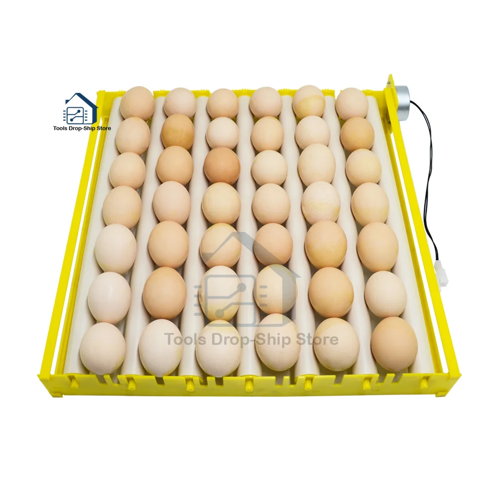 360° Automatic Rotary Egg Turner Roller Tray Eggs Incubator Accessories Roller Pattern Egg Turner Tray 42/56/156 eggs  220V kit