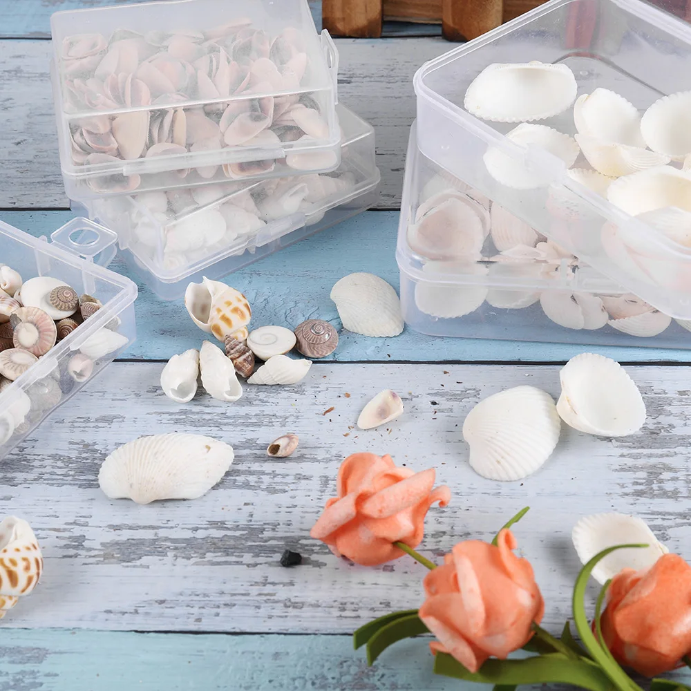 1Box Mix Natural Sea Shells Conch Beach Wedding Decoration Ocean Crafts Silicone Molds Fillings Material For DIY Jewelry Makings