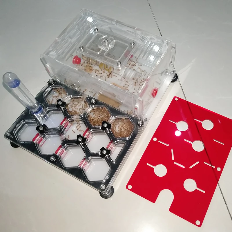 Black Ant Nest Honeycomb Ant Villa Acrylic Ant Small Community Propagation Box Ants Farm House