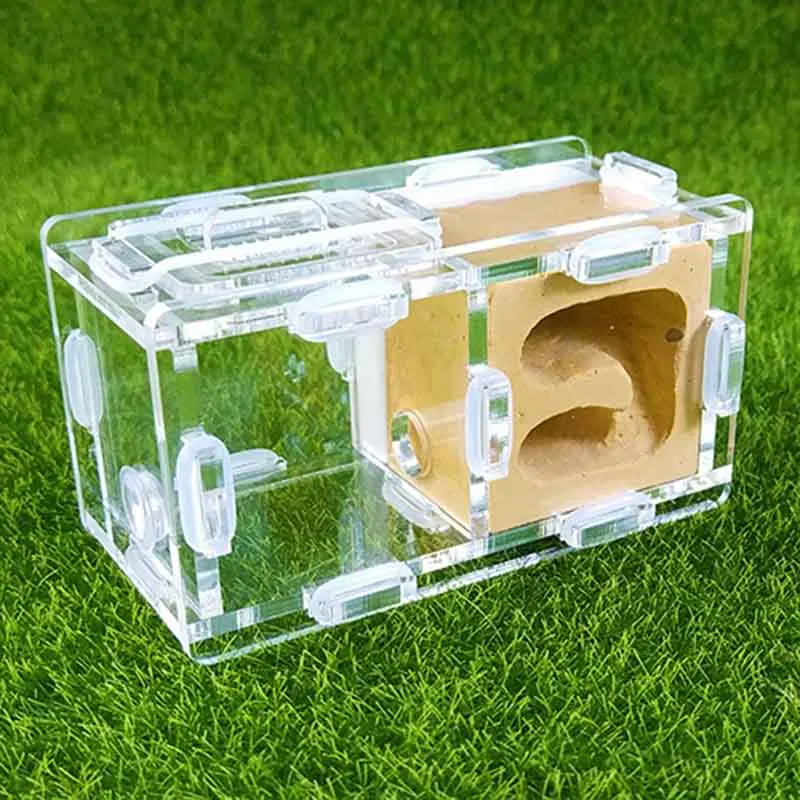 Wholesale Ants Nest Gypsum&acrylic Ants House Home for Young Queens and Small Colonies Birthday Present