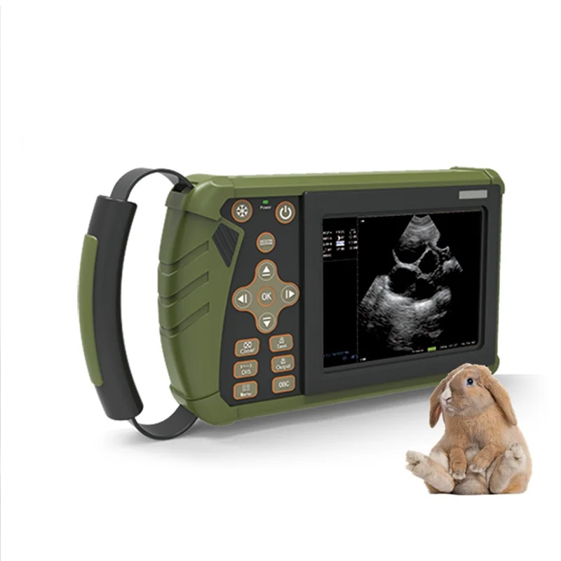 

Portable ultrasound scanner vet veterinary equine ultrasound sonoscape equipment