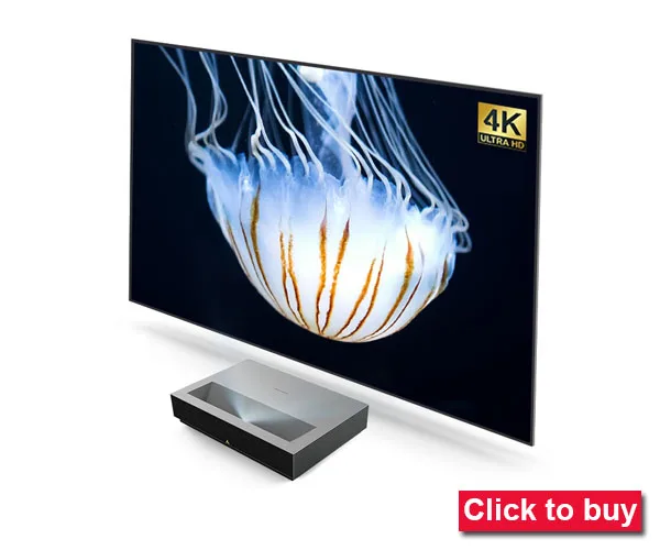 Yovanxer HD Rückprojektionsleinwand Spezielles Weiches PVC für Jeden Projektor Heimkino Outdoor Vorhang Alle Größen 16:9/4:3 Optional – Detail 10