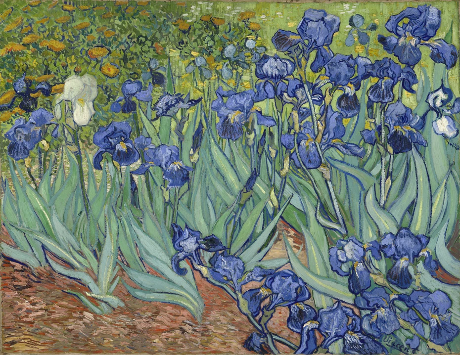 Hand Made Flower Oil Paintings on Canvas for Living Room Wall Art Home Decor Irises,1889 by Vincent Van Gogh No Frames