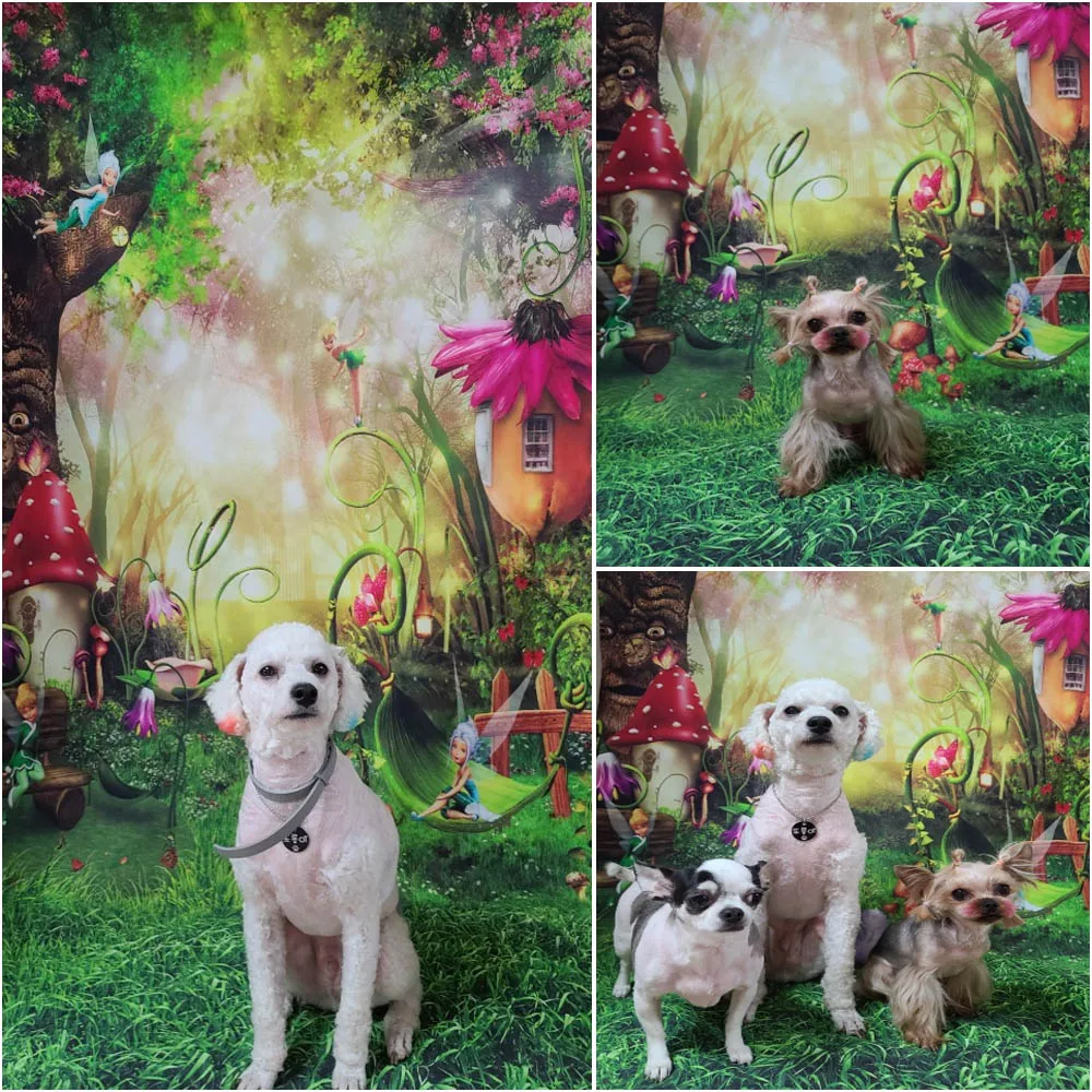 Wonderland Backdrop Fairy Tale Forest Photography Background Newborn Baby Kids Birthday Party Decor Supplies Booth Studio Props