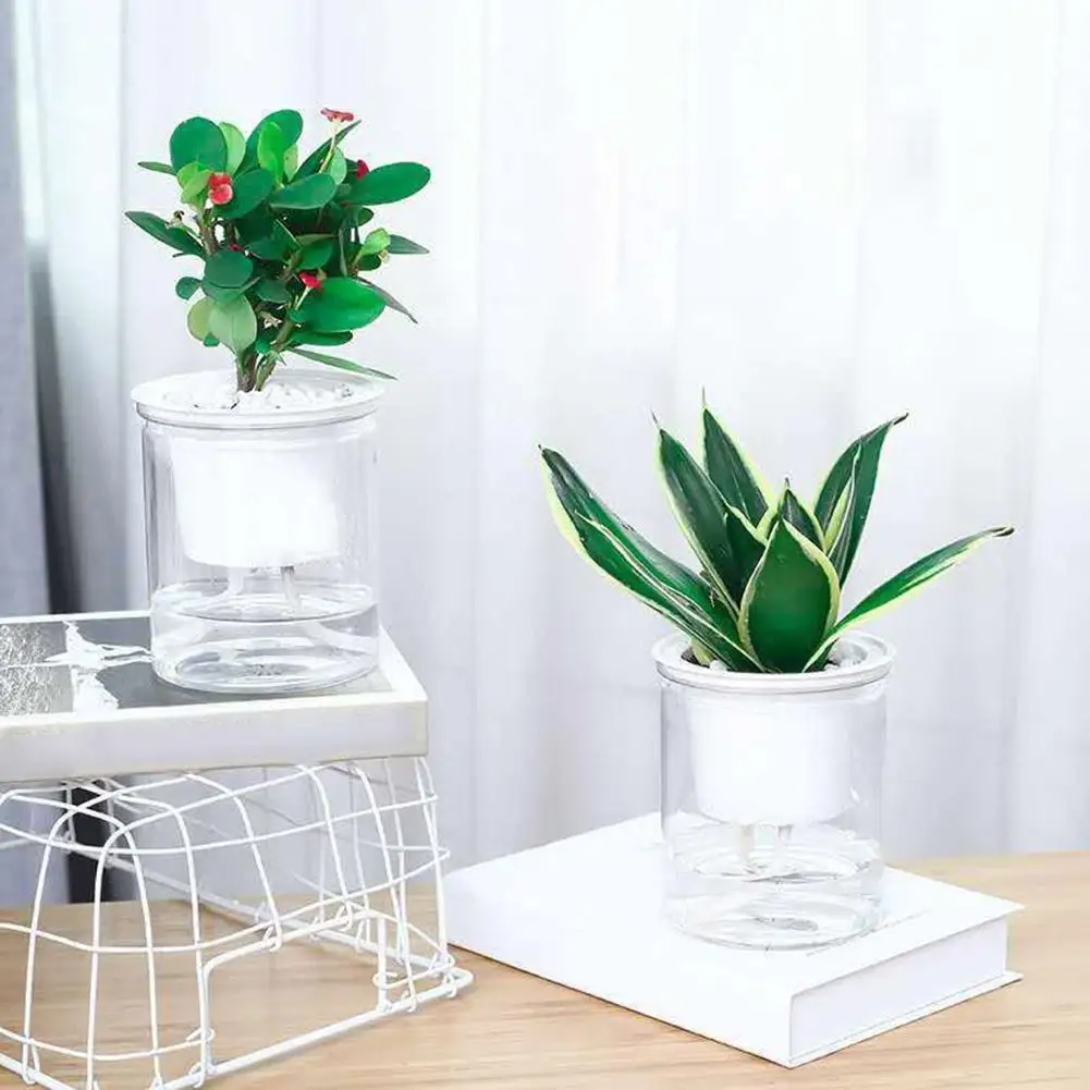 Clear Automatic Water Absorption Self Watering Hydroponic Flower Pot Planter Terrarium Hydroponic Plant Vases Vintage Flower