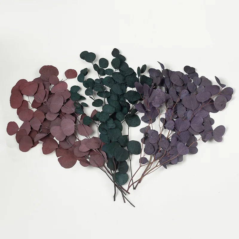 

Party Decoration Plants Decorations Artificial Leaves Eucalyptus Leaves Dried Natural Flowers Wedding Bouquet Home Decor Plant