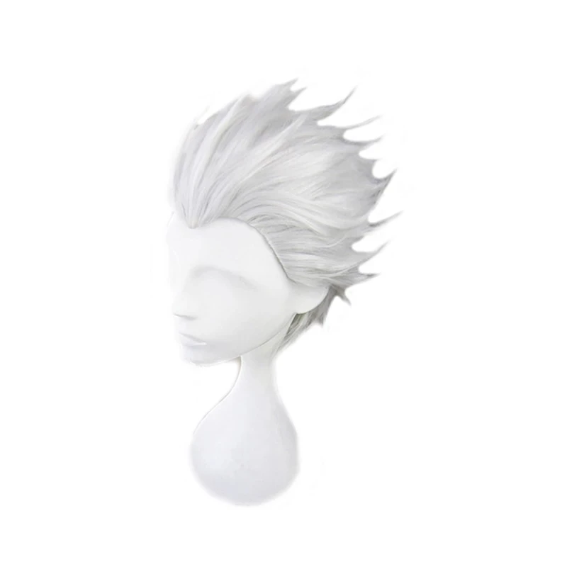 

Fate Stay Night Go Extra Archer Emiya Wigs Short Silvery Heat Resistant Synthetic Hair Anime Costume Cosplay Wig + Wig Cap