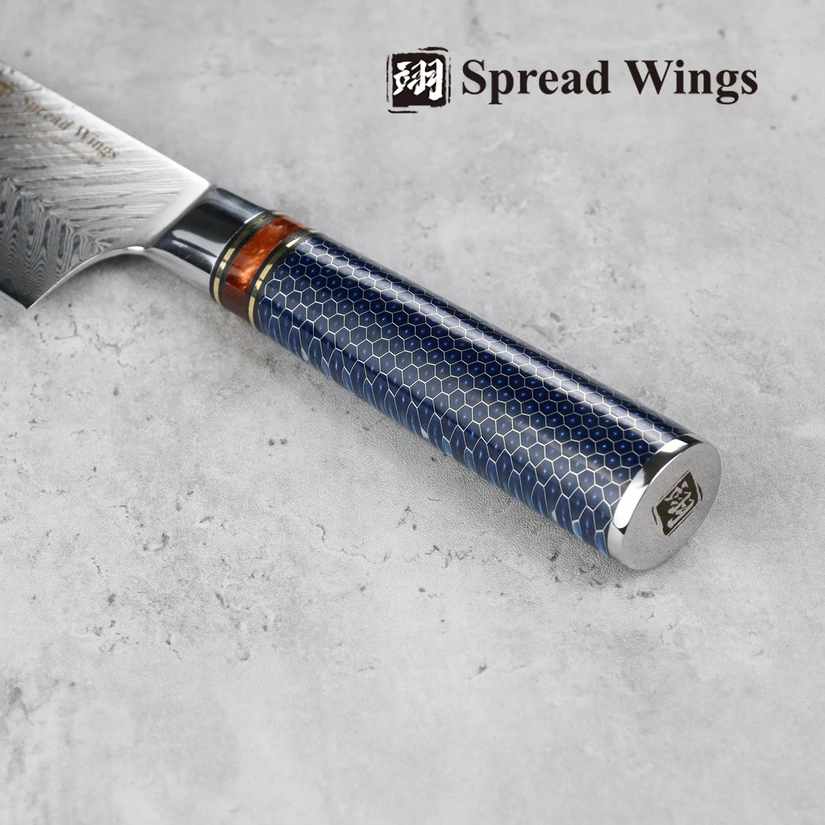 SW 67 Layer Damascus Stainless Steel Chef Knife 8 Inch AUS-10 Faca Meat Vegetables Cleaver Color Wood And Handmade Resin Handle