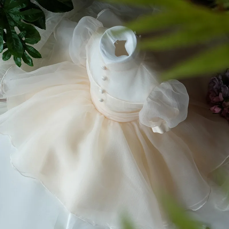 Summer New Arrivals Children's Princess Dress Flower Girl Birthday Party Dress Little Girl Dress Kids Dress for Girls Gift Dress