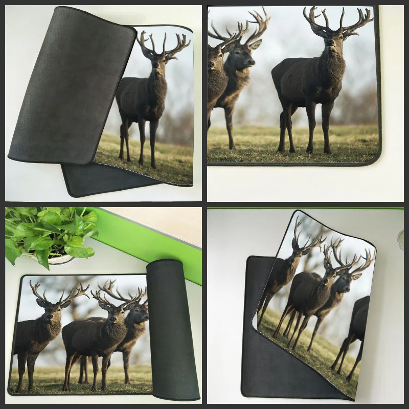Mairuige Computer Game Mouse Pad Animation Large Size Bottom Non-slip Speed Fine Cloth Elk Animal Style Home Desk Mat
