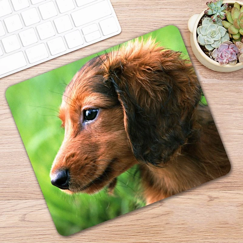 Animal Dog Dachshund Dackel Teckel Pc Tablet Gamer Computer Laptop Mause Mouse Pad Mousepad Mice Mat Decorate Desk Keyboard