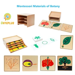 Montessori Educational Equipment Botany Puzzle Leaf Cabinet And Cards Wooden Tree/ Flower/ Root/ Seed Board Jigsaw Learning Tool