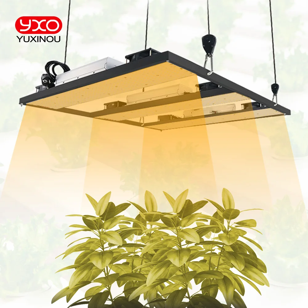 Luz led hidropónica para cultivo de plantas, tablero de luz led para invernadero, tecnología cuántica, 240W, 480W, 720W, sam-ng, lm301h