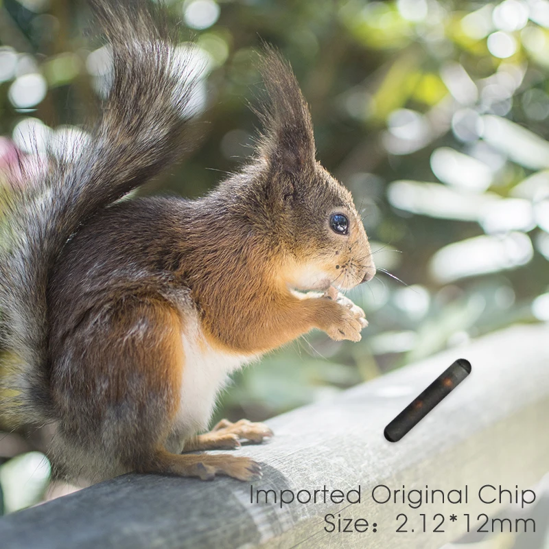 Imagem -06 - Agulha de Identificação para Animal de Estimação Injetor de Microchip para Cães e Animais Novidade 100 Peças