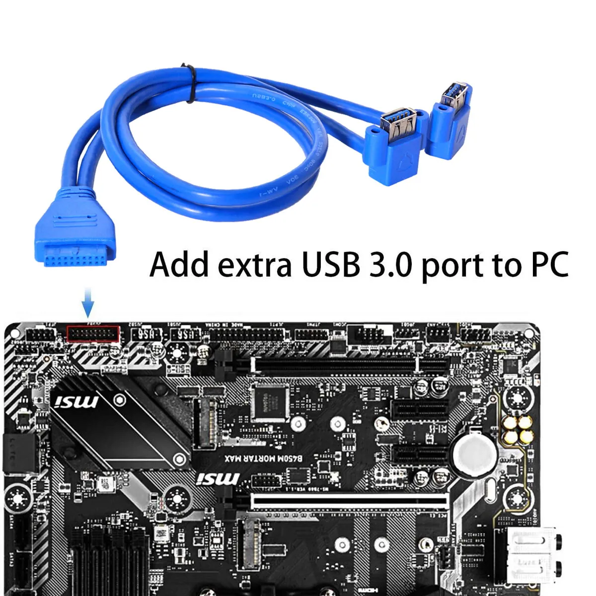 Cablecc NGFF Motherboard 20Pin 19 Pin Box Header Slot Panel Mount to Up Angled USB 3.0 A Type Dual Female Cable 50cm