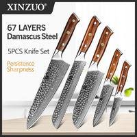 XINZUO 5PCS Knife Set VG10 Damascus Steel Pro  Japanese Chef Knives High Carbon Stainless Steel Meat Santoku Paring Knife