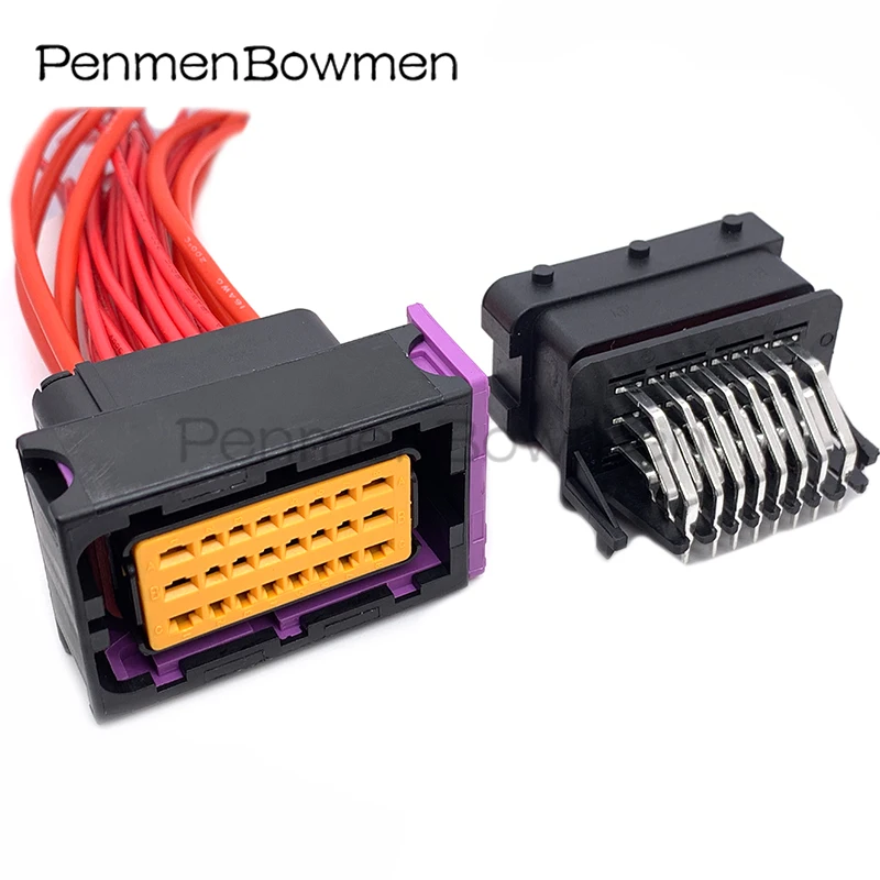 Auto FCI Oil to Gas Computer Board, ECU Plug Conector Eletrônico, Cablagem, 211PC249S0005, HCCPHPE24BKA90F, 24Pin