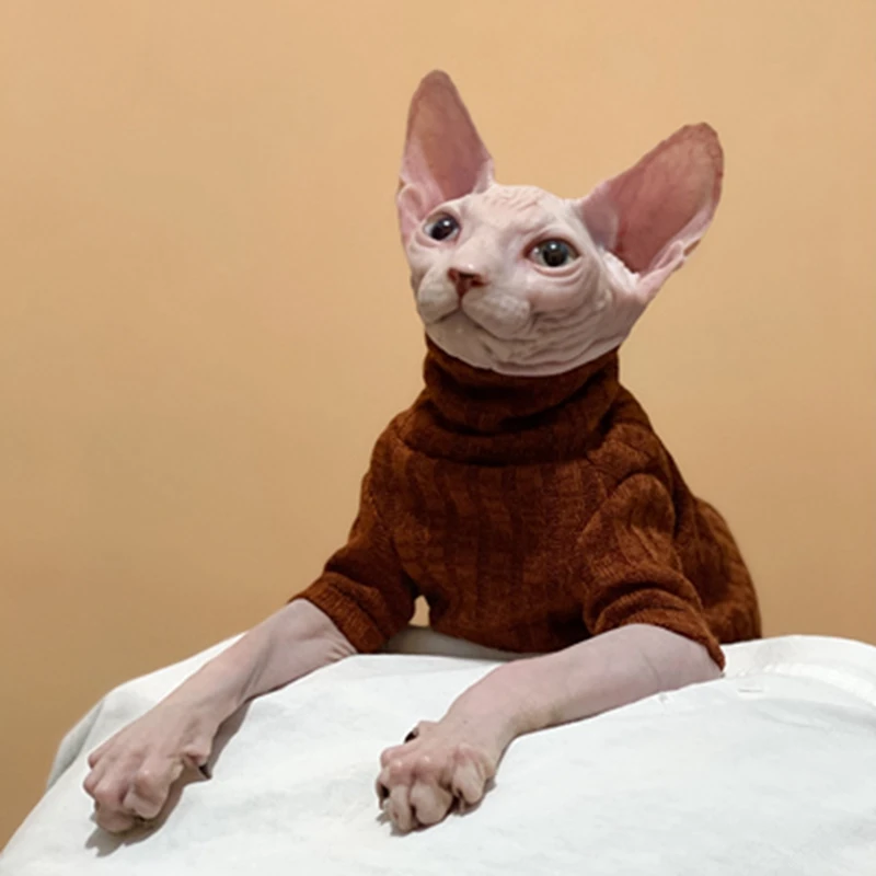 winter Warm Sphinx Hairless Cat turtleneck sweater base coat Solid color stretch soft Sphinx Devon cat clothes