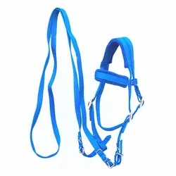 Horse Riding Equipment Adjustable Horse Bridle With Rein Red PP Webbing Blue Horse Halter