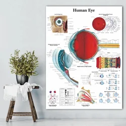 Eye Anatomy Medical Ophthalmology Medicine Canvas Painting Optometrist Gift Poster and Print Wall Art Pictures Clinic Home Decor