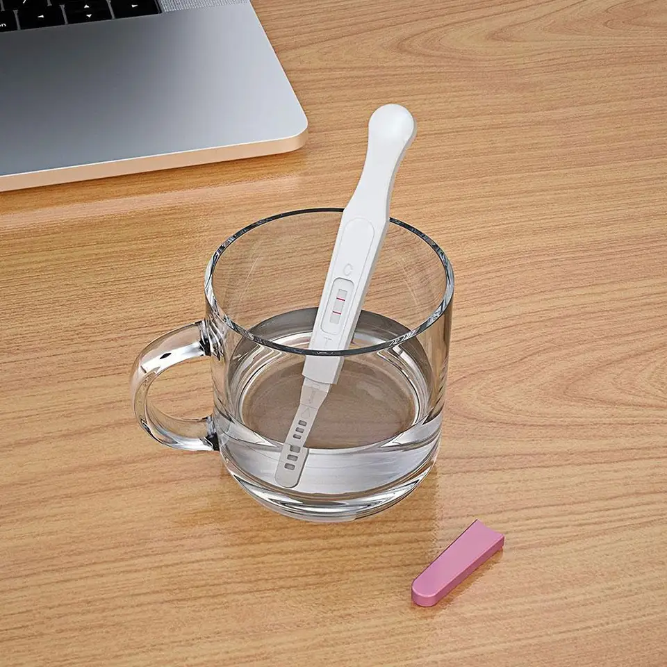 TEST DE GROSSESSE Faux Positif - Joke Pratique, polisson, bâillon, Pack 2 EUR 35,99 - FR