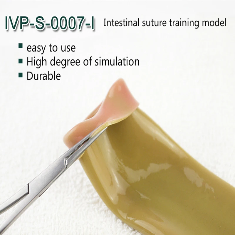 Intestinal Suture Training Model Intestinal Suture Model Bracket Clip Laparoscopic Surgery Training Medical Practice Aids