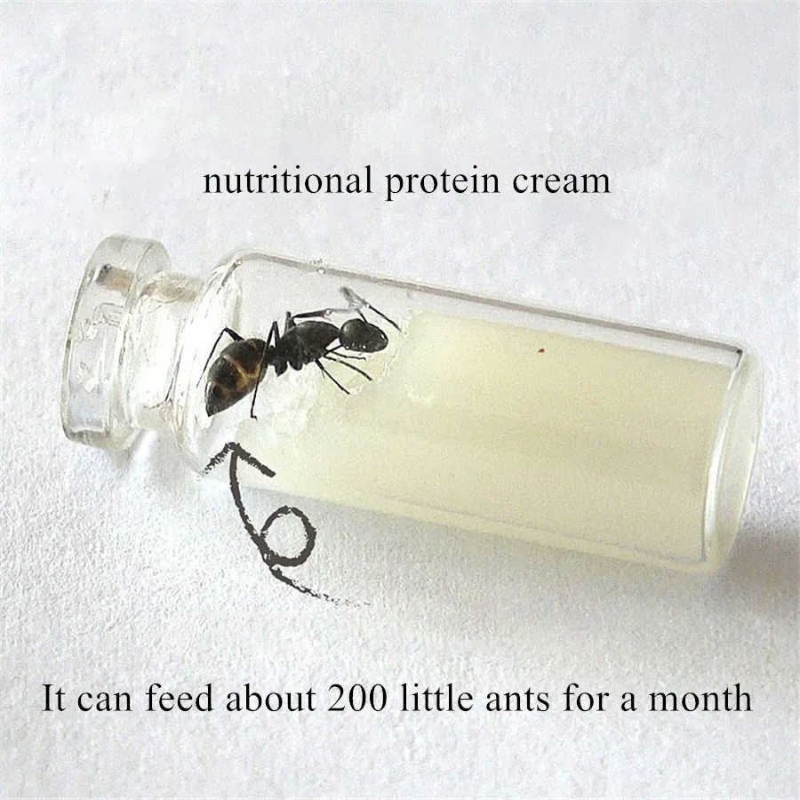 3pcs/lot Ant Workshop Ant Castle High Nutrition High Protein Ant Food Pet Ant Food Convenient Pack