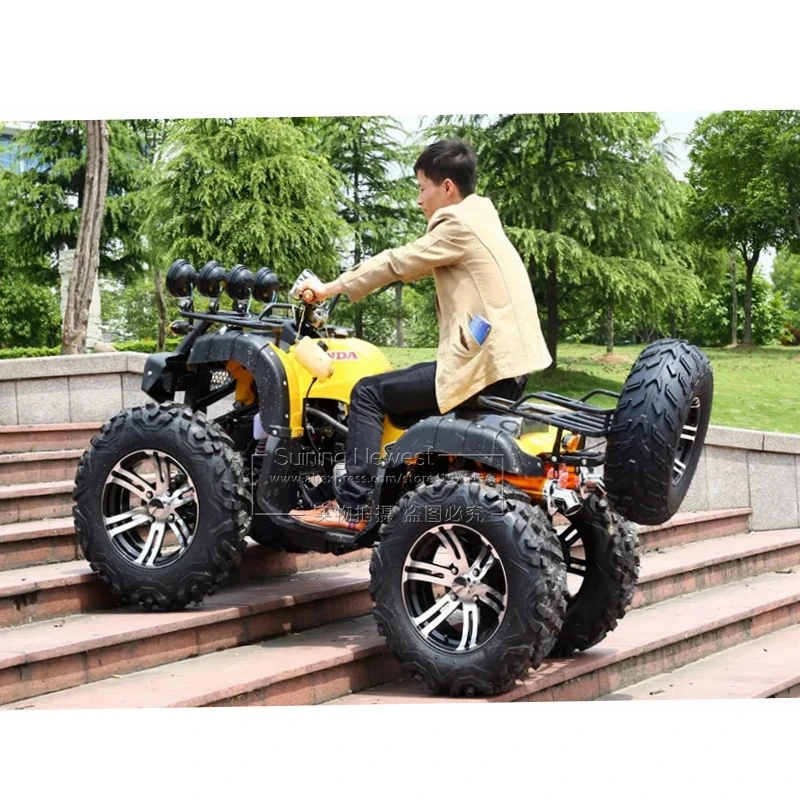 With Spare Tyre 250CC Gas bycicle ATV Racing Go Kart Car Beach Buggy Adult Moto Motorcycle gravel downhill quad bike fatbike