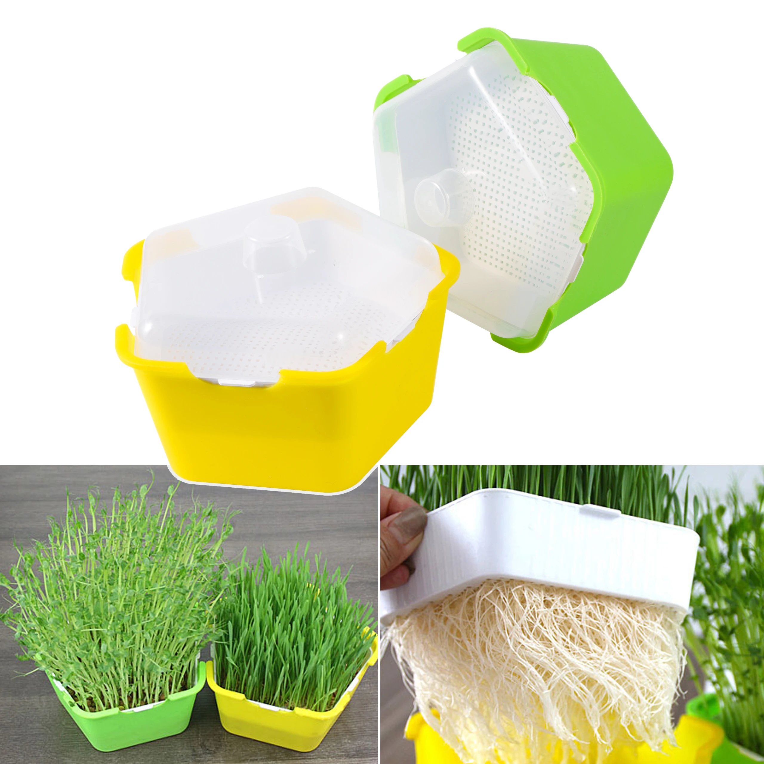 Bean Sprouts Growing Tray Seed Seedling Starter Dish Greenhouse Hydroponics Plant Cat Grass Germination Nursery Pot Grow Box