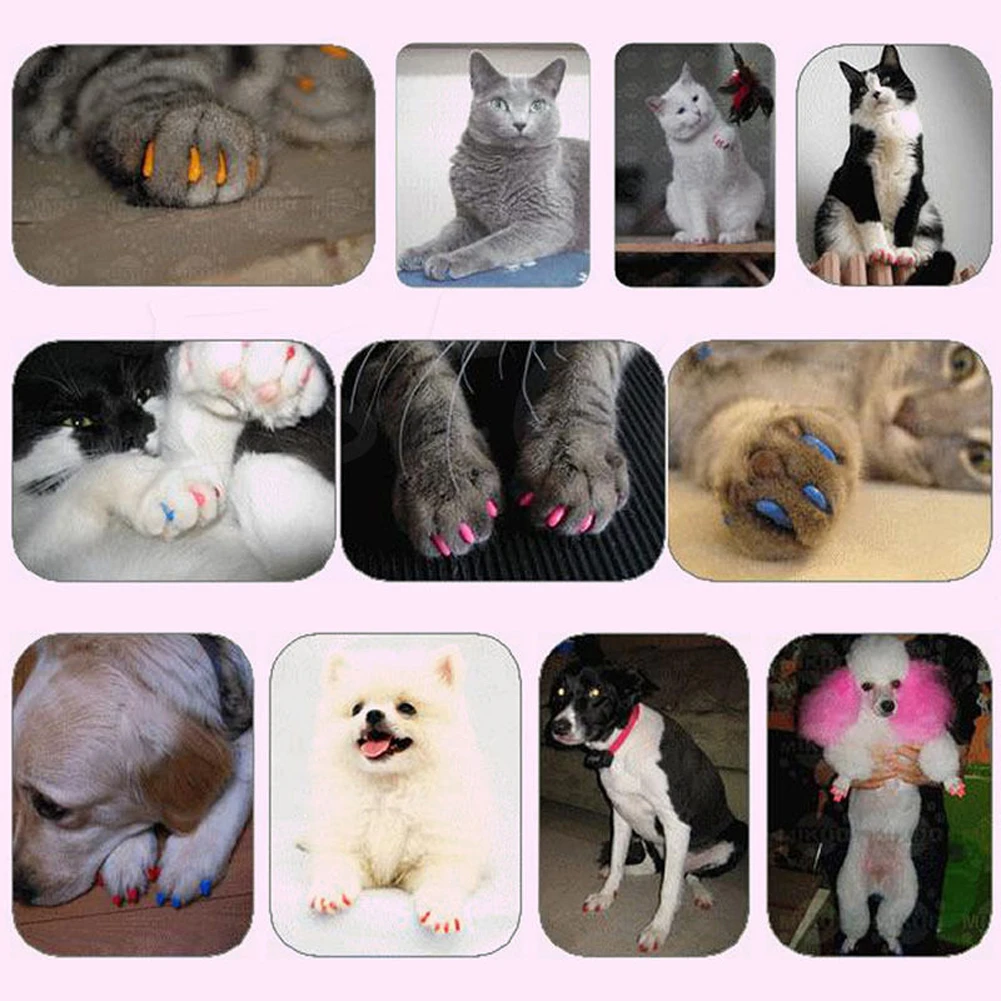 New 20pcs Cute Silicone Soft Cat Nail Caps / Cat Paw Claw / With Arc Pet Nail Protector/Cat Nail Cover With Free Glue Applictor