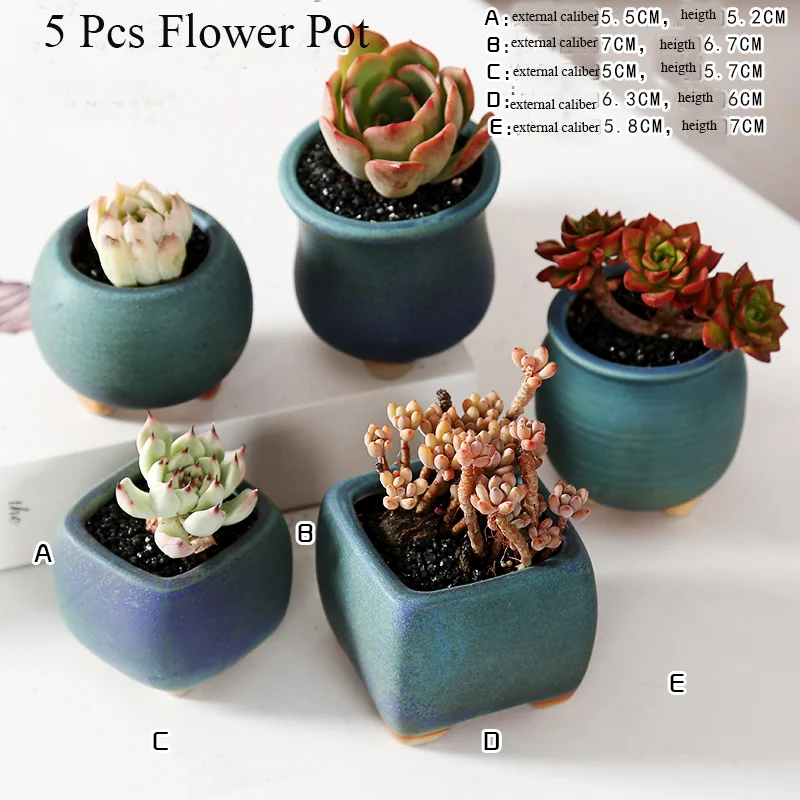 

Lily Blue Flower Pot Succulent Cactus Pot Plant Garden Ceramic Planter Mini Pots Outdoor Garden Home