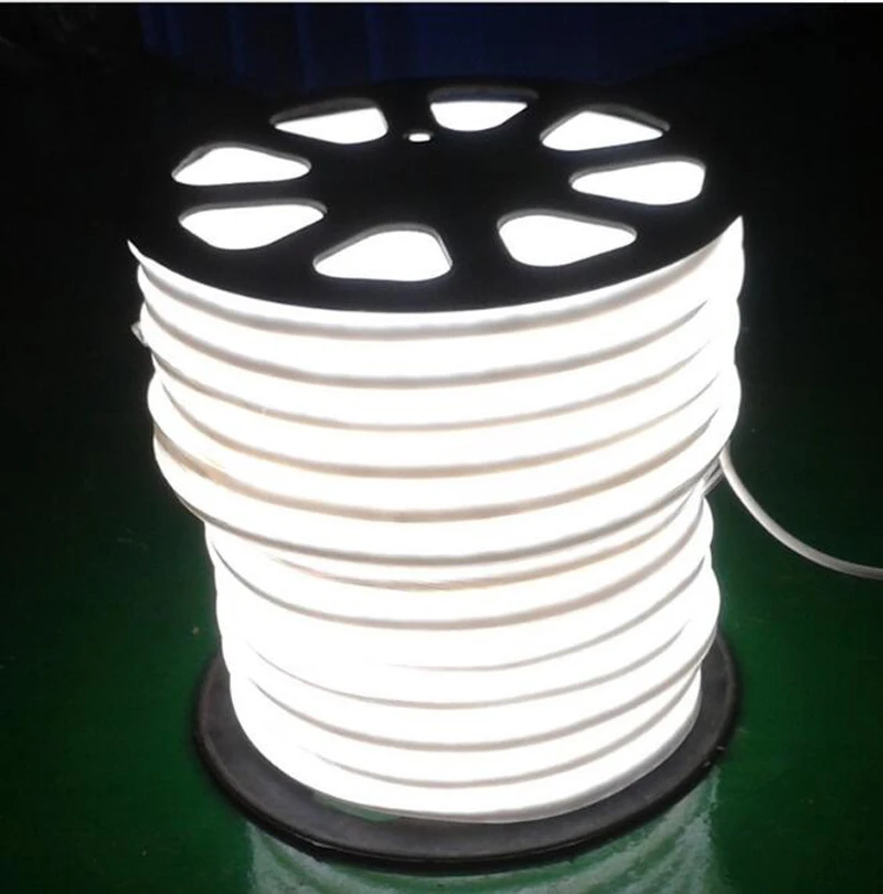 8*16mm 12V LED Neon Flex Strip Light 5050 2835 120 LED Waterproof Flexible LED Rope 20m 50m 100m For Indoor Outdoor Rgb