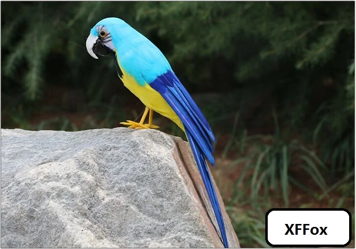 

cute real life blue&yellow parrot model foam&feather simulation parrot bird gift about 30cm xf2517
