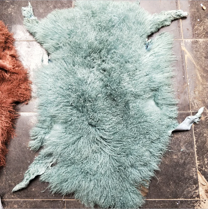 Top quality curly hair soft dyed animal fur skins mongolian goat fur skins for garment