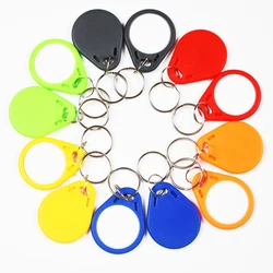 100 개/몫 키 체인 액세스 제어 RFID EM4305 T5577 스마트 카드 읽기 및 재기록 토큰 태그 Keyfobs Keychains