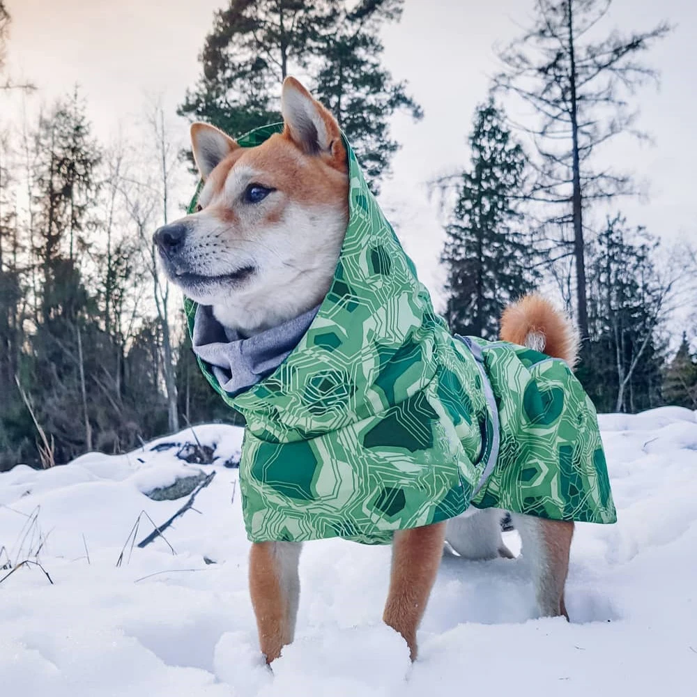 Imagem -02 - Inverno Roupas para Cães de Estimação para Cães Grandes Quente à Prova Dthicker Água Roupas para Cães Cabolsa Mais Grosso Algodão Acolchoado Cachorro Jaqueta Pitbull Bulldog Francês