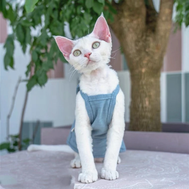 Sphynx Cat Clothes Summer Luxury Pet Vest Cotton Hairless Kitten Sleeveless T Shirt Puppy Small Dogs Clothing For Cats Sphinx