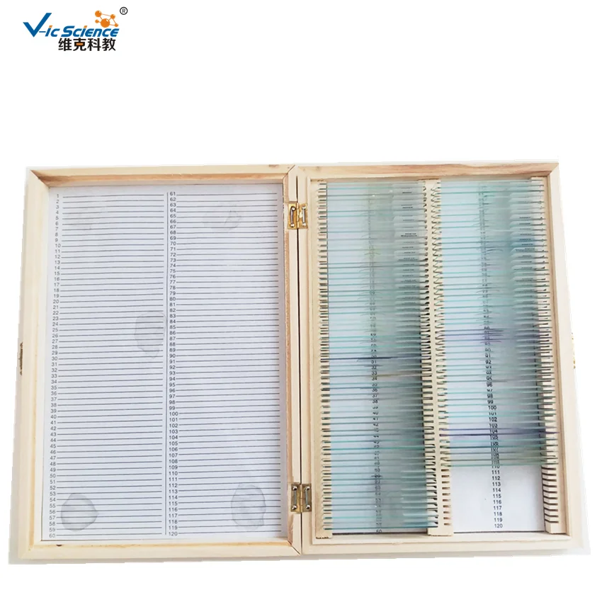 Lames de Microscope préparées pour l'école secondaire, 91 articles