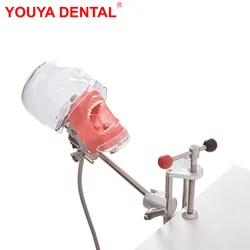 Cabeça modelo manequim fantasma cirúrgico Dental Simulator, Modelo fantasma dentes para estudar a prática do dentista, Ensino de odontologia