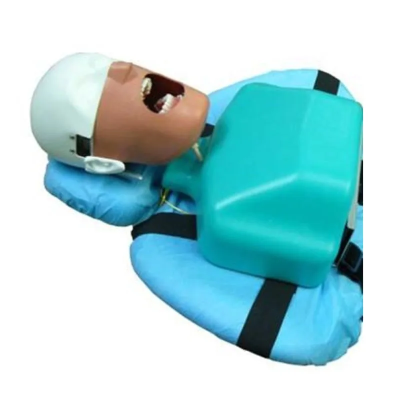 Dentistry Dental Manikin With Torso Preparation Practice Head for Teaching and Learning