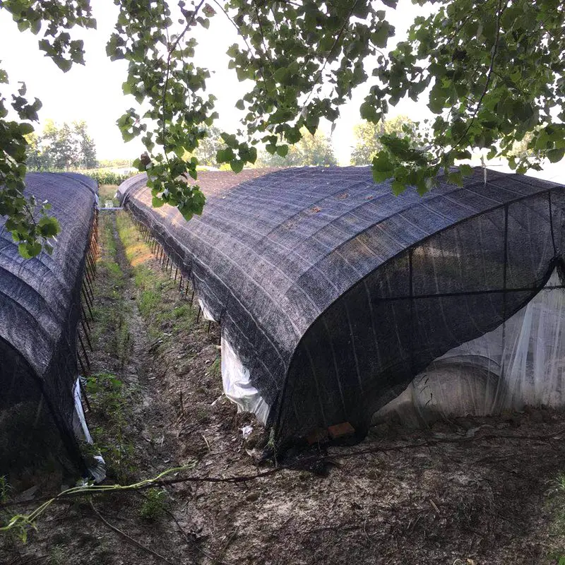 HDPE Black Sun Shade Net, Pérgola ao ar livre, Garagens de carros, Canopies, Anti-UV, Grosso, 12Pin, 90% Shading Rate