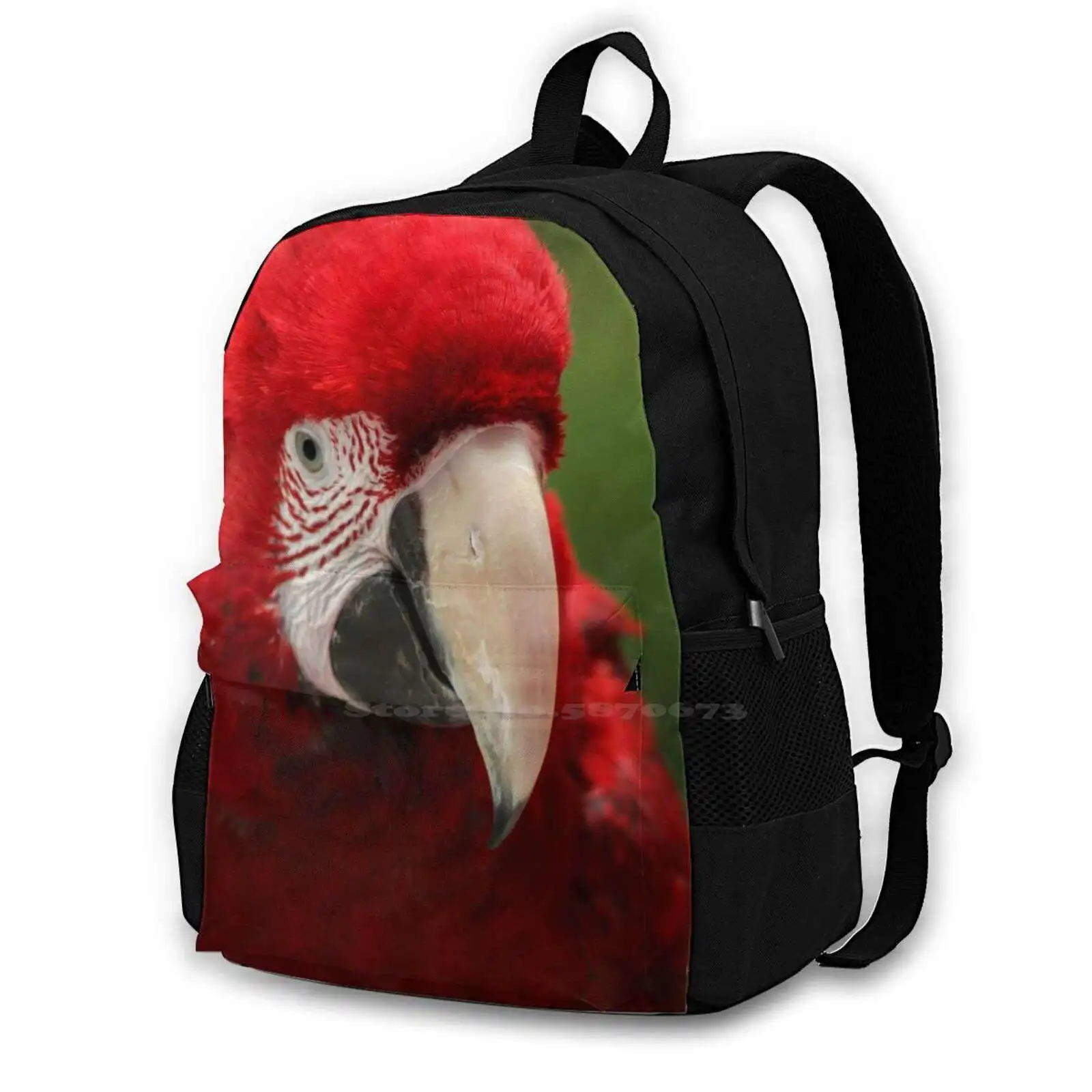 True Macaws Bird-Ara School Bag Big Capacity Backpack Laptop 15 Inch Macaw Bird Eyes Portrait Red Green Photoraphy Wild