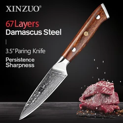 XINZUO 3.5'' Paring Knife Damascus Steel Ultra Sharp Cutter Kitchen Fruit Knives With North America Desert Ironwood Handle