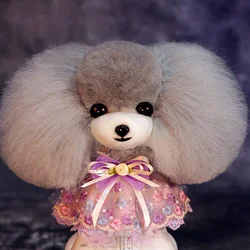 Grooming Model Dog Teddy bear head Mannequin for Pet Goomers trimming practice / 1Teddy head with  1head wig